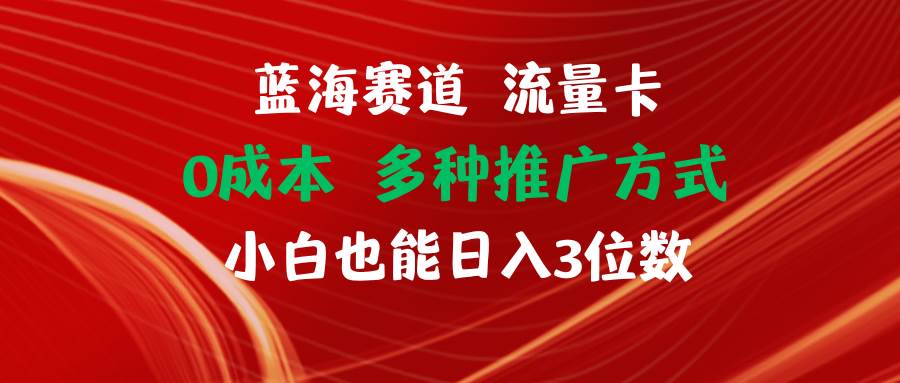 蓝海赛道 流量卡 0成本 小白也能日入三位数|琦哥资源
