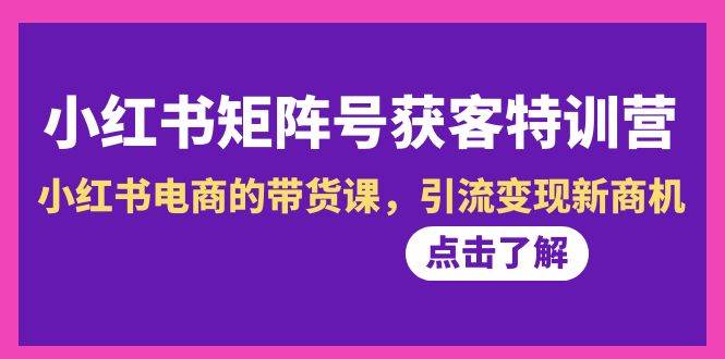 小红书-矩阵号获客特训营-第10期，小红书电商的带货课，引流变现新商机|琦哥资源