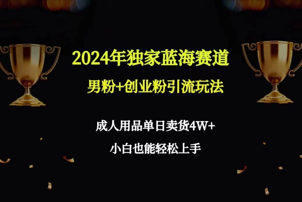 2024年独家蓝海赛道男粉+创业粉引流玩法，成人用品单日卖货4W+保姆教程|琦哥资源