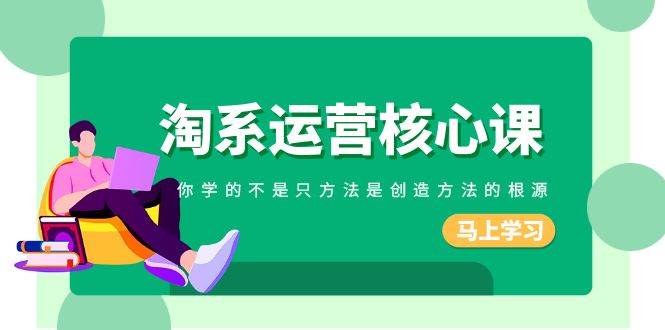淘系-运营核心课，你学的不是只方法是创造方法的根源（190节课）|琦哥资源