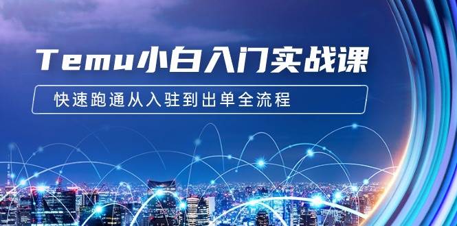 Temu小白入门实战课：跨境拼多多电商培训 快速跑通从入驻到出单全流程-12节|琦哥资源