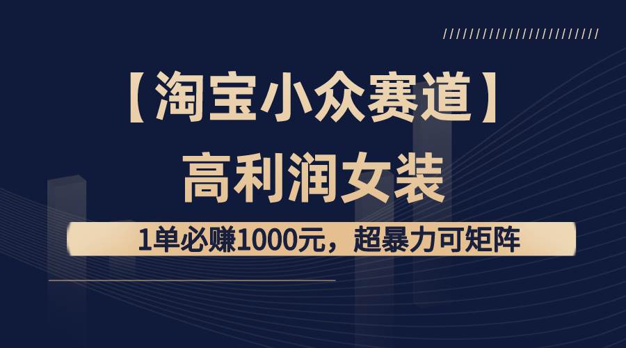 【淘宝小众赛道】高利润女装：1单必赚1000元，超暴力可矩阵|琦哥资源