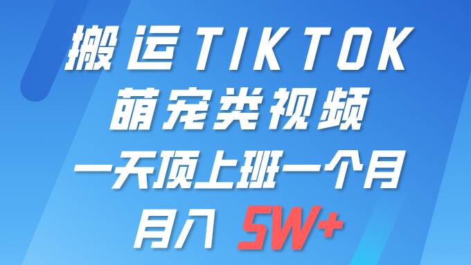 一键搬运TIKTOK萌宠类视频 一部手机即可操作 所有平台均可发布 轻松月入5W+|琦哥资源