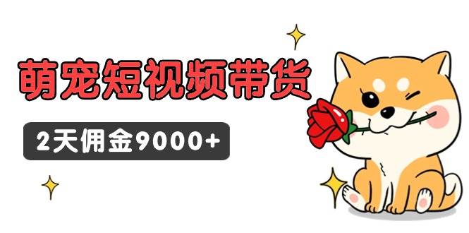 东哲日记·萌宠短视频带货，2天佣金9000+|琦哥资源