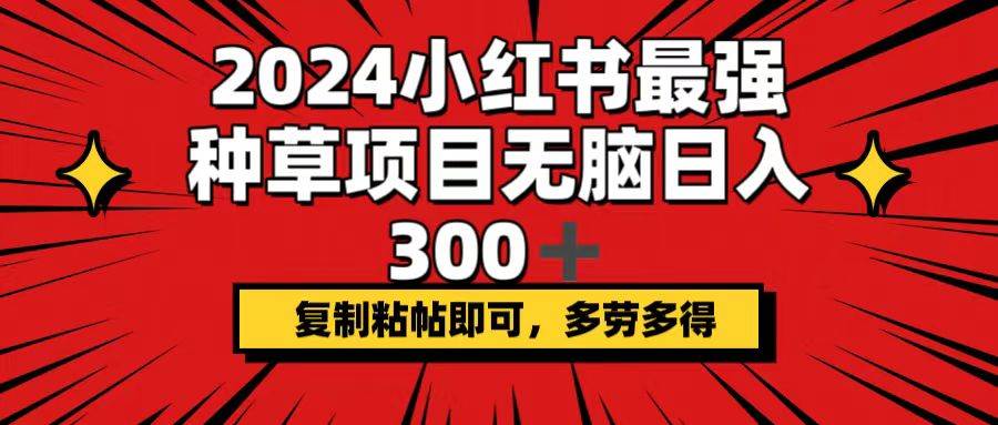 2024小红书最强种草项目，无脑日入300+，复制粘帖即可，多劳多得|琦哥资源