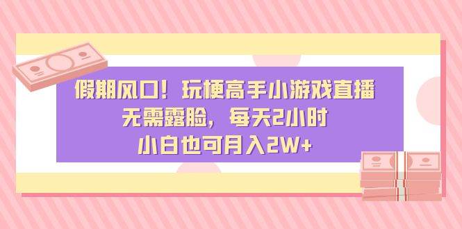 假期风口！玩梗高手小游戏直播，无需露脸，每天2小时，小白也可月入2W+|琦哥资源