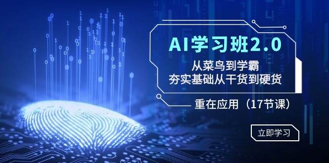 AI学习班2.0：从菜鸟到学霸，夯实基础从干货到硬货，重在应用（17节课）|琦哥资源