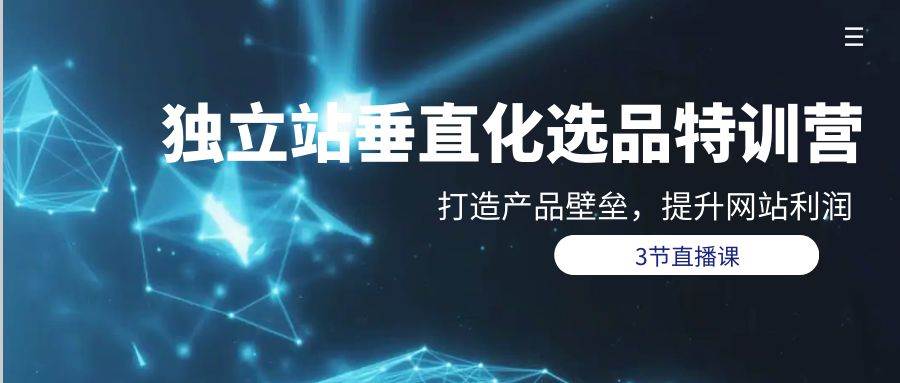 独立站-垂直化选品训练营，打造产品壁垒，提升网站利润（3节直播课）|琦哥资源