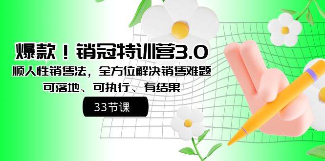 爆款！销冠特训营3.0之顺人性销售法，全方位解决销售难题、可落地、可执行、有结果|琦哥资源