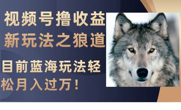 视频号撸收益新玩法之狼道，目前蓝海玩法轻松月入过万！|琦哥资源