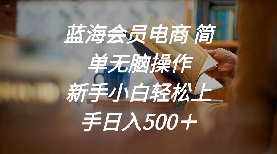 蓝海会员电商 简单无脑操作 新手小白轻松上手日入500＋|琦哥资源