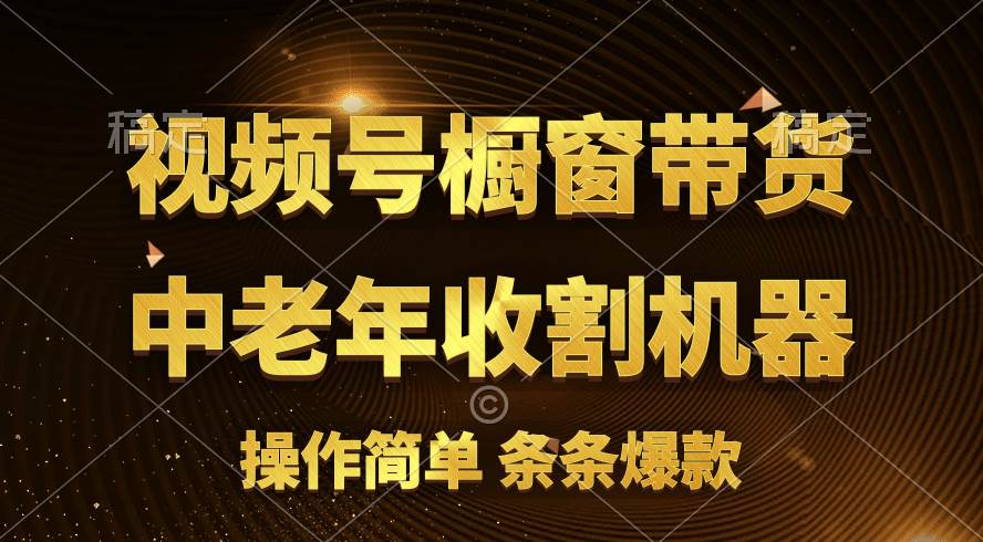 [你的孩子成功取得高位]视频号最火爆赛道，橱窗带货，流量分成计划，条…|琦哥资源