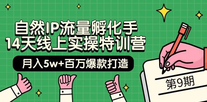 自然IP流量孵化手 14天线上实操特训营【第9期】月入5w+百万爆款打造 (74节)|琦哥资源