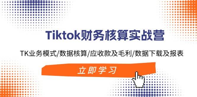 Tiktok财务核算实战营：TK业务模式/数据核算/应收款及毛利/数据下载及报表|琦哥资源