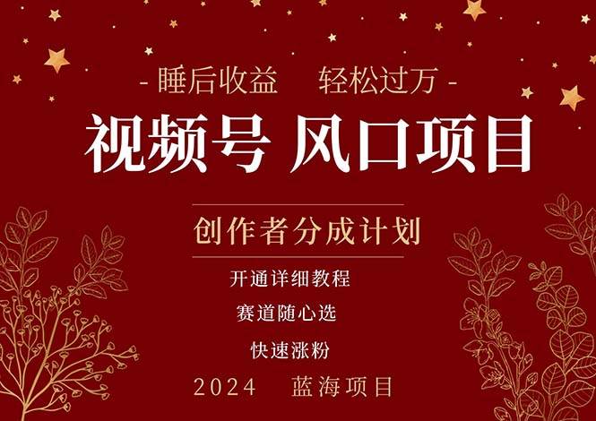 拥有睡眠收益的微信视频号大风口项目，轻松月入过万+，多赛道选择，可…|琦哥资源