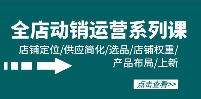 全店·动销运营系列课：店铺定位/供应简化/选品/店铺权重/产品布局/上新|琦哥资源