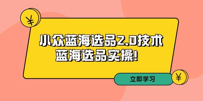 拼多多培训第33期：小众蓝海选品2.0技术-蓝海选品实操！|琦哥资源