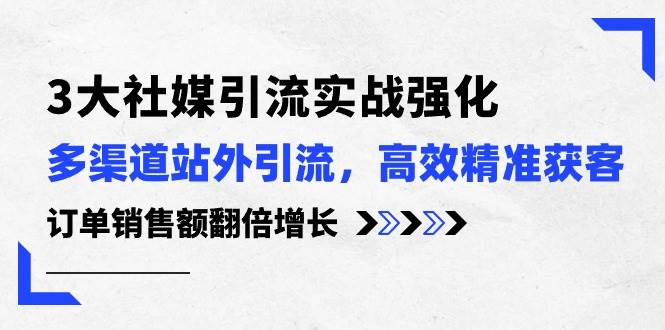 3大社媒引流实操强化，多渠道站外引流/高效精准获客/订单销售额翻倍增长|琦哥资源