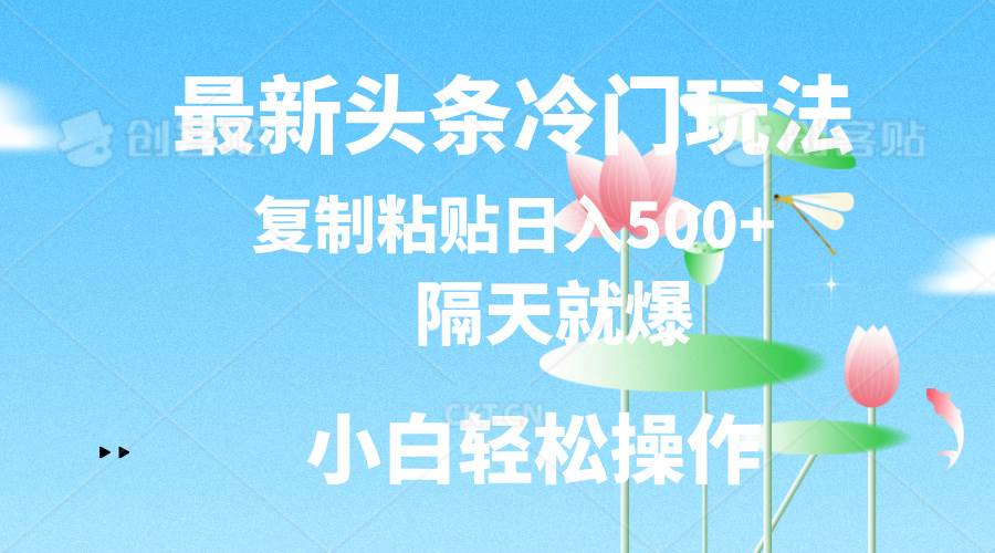 最新头条冷门玩法，隔天就爆，复制粘贴日入500+|琦哥资源