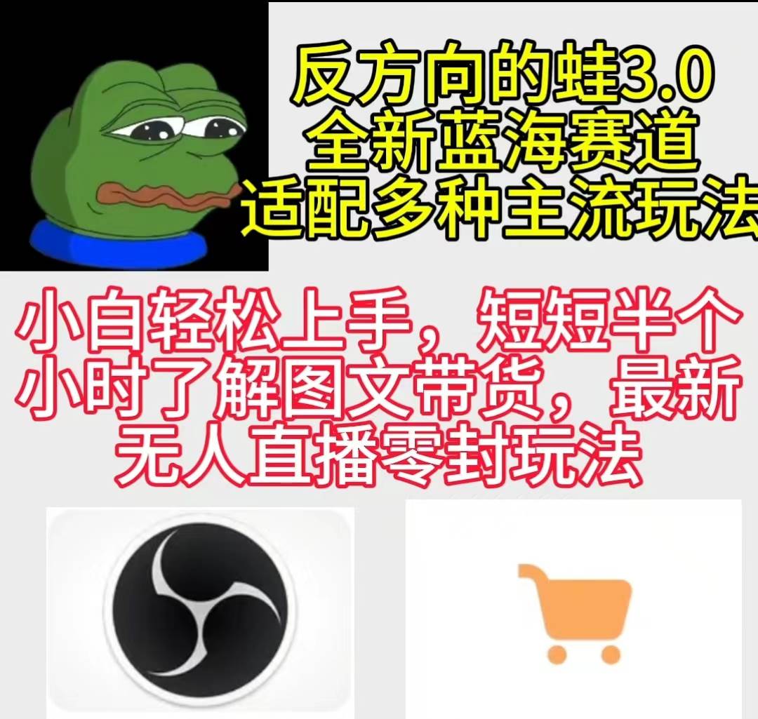 反方向的蛙3.0，图文最新玩法，变现多元化，新蓝海项目，小白轻松上手|琦哥资源
