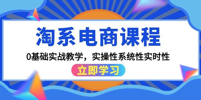 淘系电商课程，0基础实战教学，实操性系统性实时性（15节课）|琦哥资源