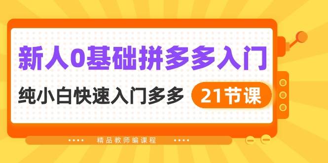 新人0基础拼多多入门，纯小白快速入门多多（21节课）|琦哥资源