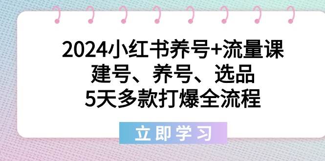 2024小红书养号+流量课：建号、养号、选品，5天多款打爆全流程|琦哥资源