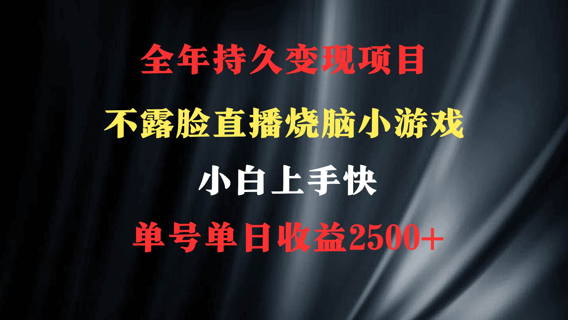 2024年 最优项目，烧脑小游戏不露脸直播  小白上手快 无门槛 一天收益2500+|琦哥资源