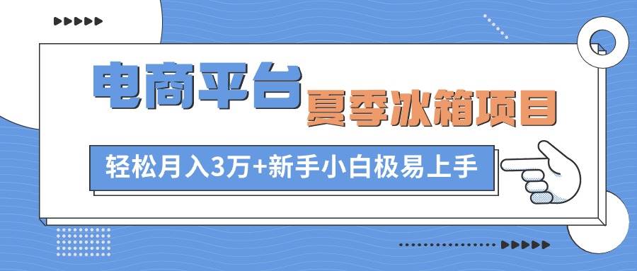 电商平台夏季冰箱项目，轻松月入3万+，新手小白极易上手|琦哥资源
