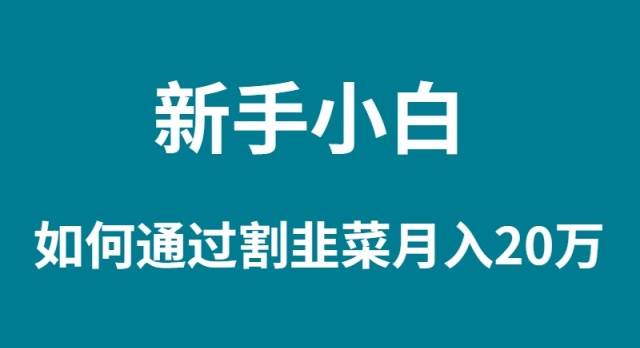 新手小白如何通过割韭菜月入 20W|琦哥资源
