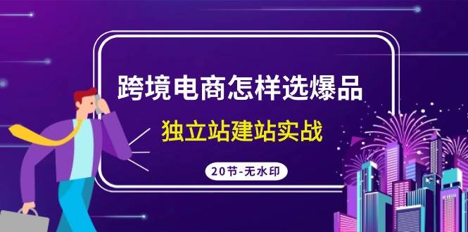 跨境电商怎样选爆品，独立站建站实战（20节高清无水印课）|琦哥资源