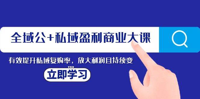 全域公+私域盈利商业大课，有效提升私域复购率，放大利润且持续变现|琦哥资源