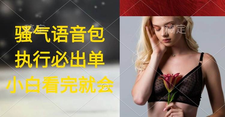 执行就出单，日入2000+，超火骚气语音包，小白看完课程就能马上实操|琦哥资源