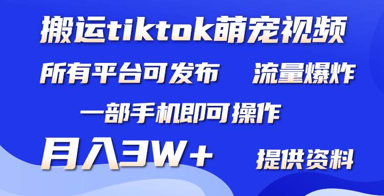 搬运Tiktok萌宠类视频，一部手机即可。所有短视频平台均可操作，月入3W+|琦哥资源