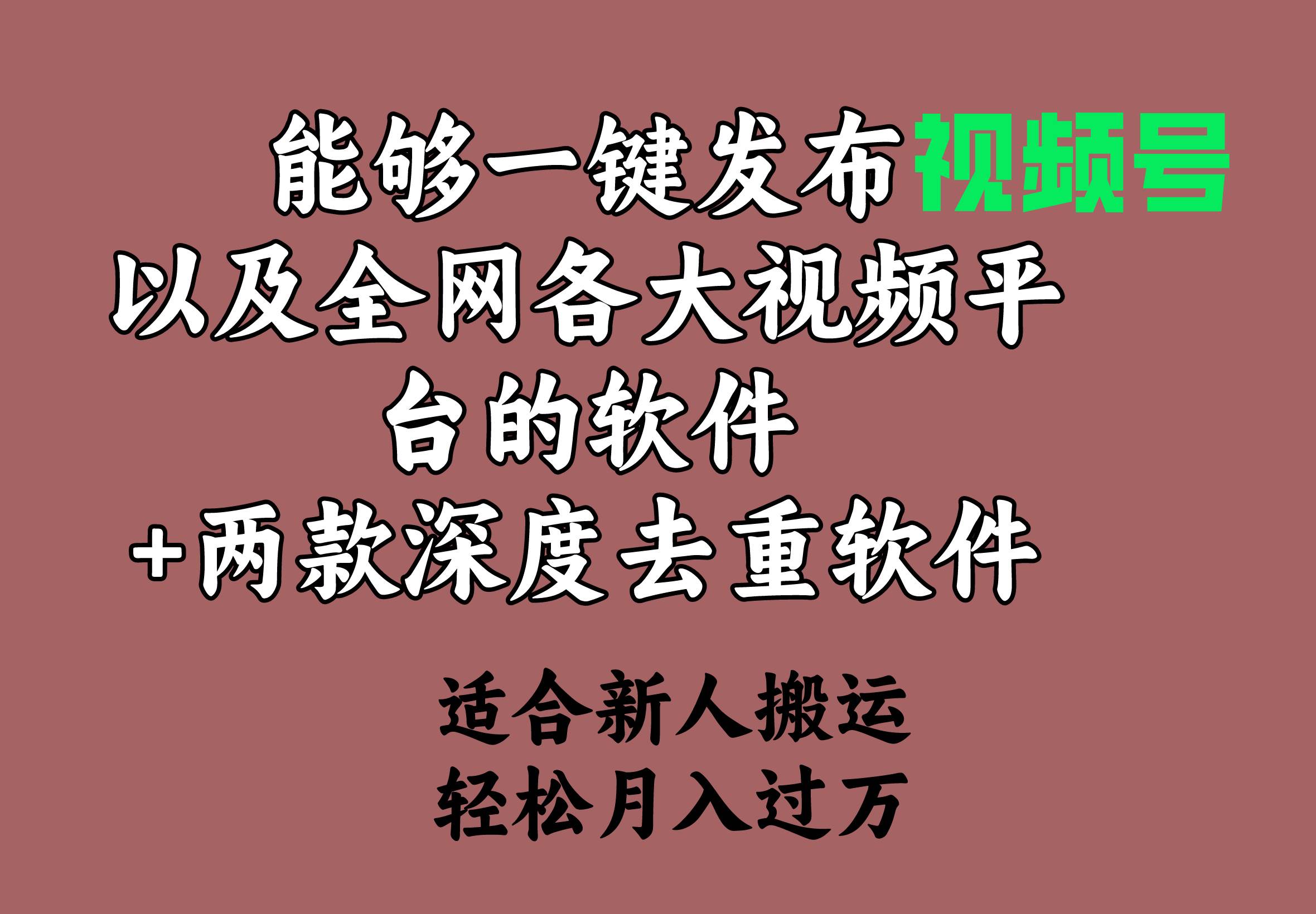 能够一键发布视频号以及全网各大视频平台的软件+两款深度去重软件 适合…|琦哥资源