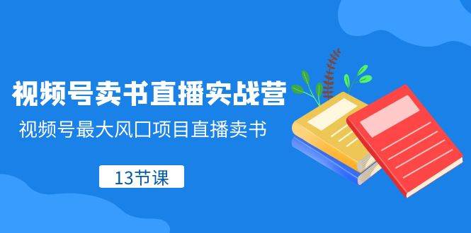 视频号-卖书直播实战营，视频号最大风囗项目直播卖书（13节课）|琦哥资源