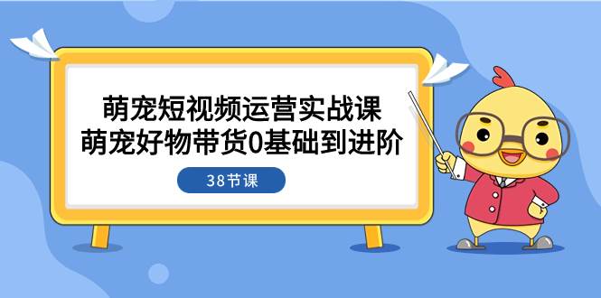 萌宠·短视频运营实战课：萌宠好物带货0基础到进阶（38节课）|琦哥资源