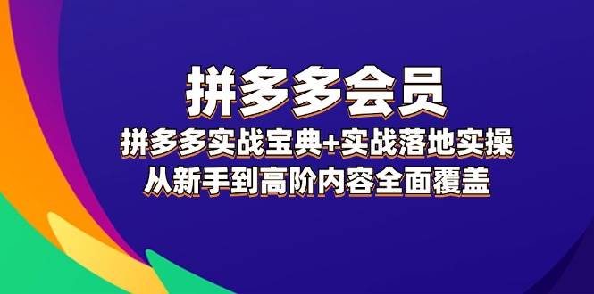 拼多多 会员，拼多多实战宝典+实战落地实操，从新手到高阶内容全面覆盖|琦哥资源