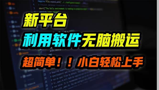 新平台用软件无脑搬运，月赚10000+，小白也能轻松上手|琦哥资源