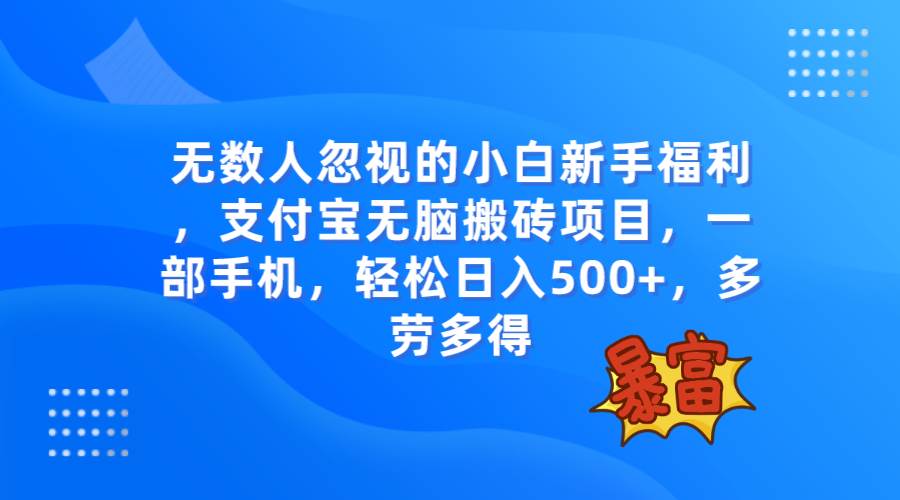 无数人忽视的项目，支付宝无脑搬砖项目，一部手机即可操作，轻松日入500+|琦哥资源