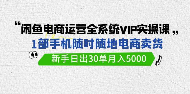 闲鱼电商运营全系统VIP实战课，1部手机随时随地卖货，新手日出30单月入5000|琦哥资源