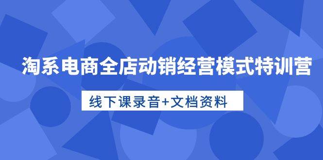 淘系电商全店动销经营模式特训营，线下课录音+文档资料|琦哥资源