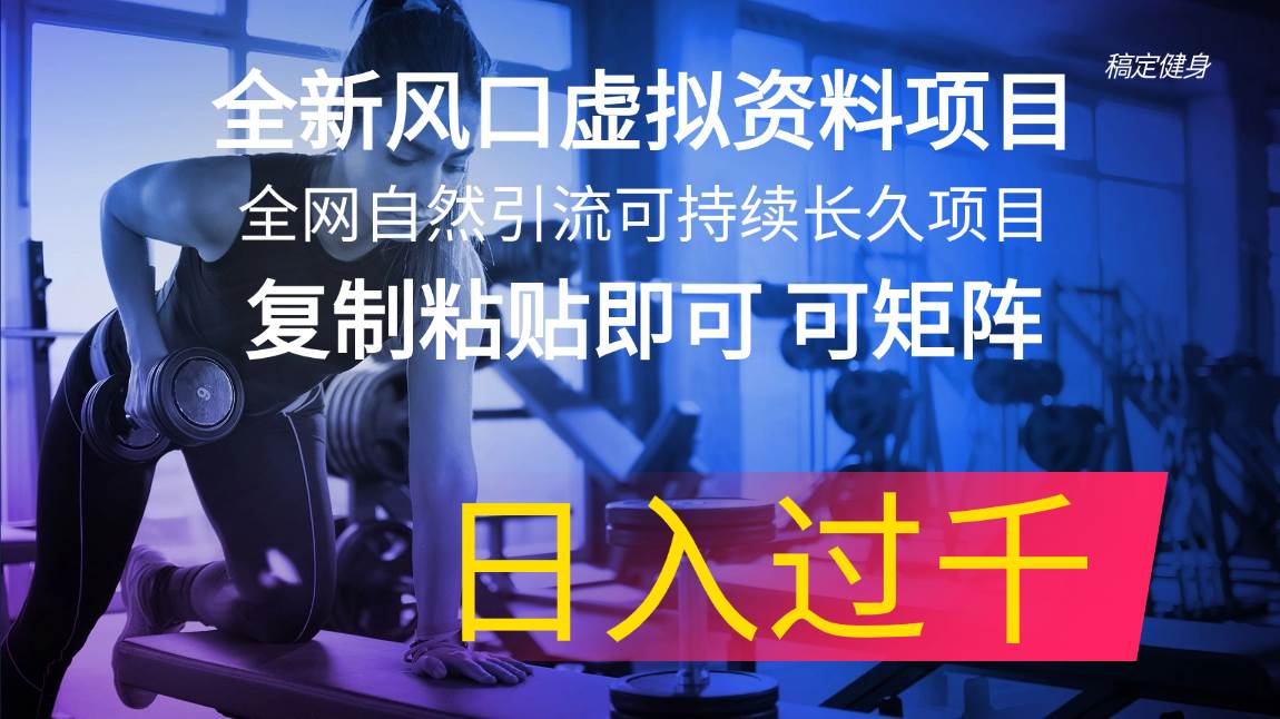 全新风口虚拟资料项目 全网自然引流可持续长久项目 复制粘贴即可可矩阵…|琦哥资源