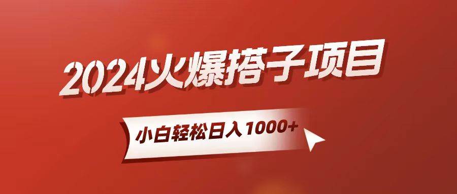 小白轻松上手，日入1000+，搭子项目|琦哥资源