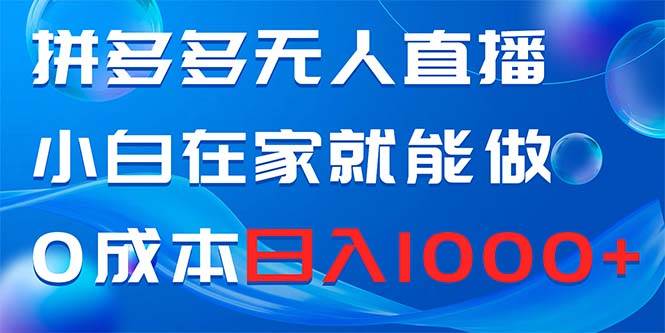 拼多多无人直播，小白在家就能做，0成本日入1000+|琦哥资源