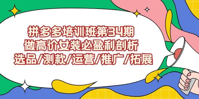 拼多多培训班第34期：做高价女装必盈利剖析  选品/测款/运营/推广/拓展|琦哥资源