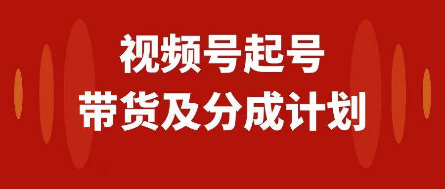视频号快速起号，分成计划及带货，0-1起盘、运营、变现玩法，日入1000+|琦哥资源