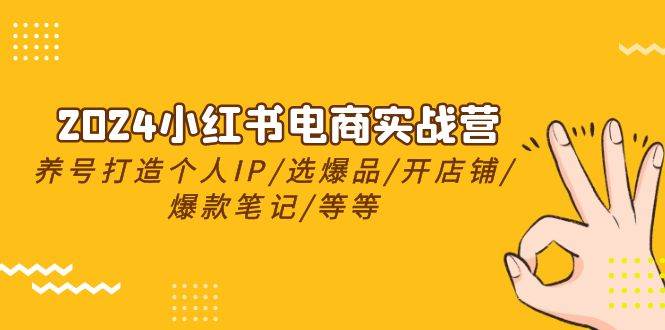 2024小红书电商实战营，养号打造IP/选爆品/开店铺/爆款笔记/等等（24节）|琦哥资源