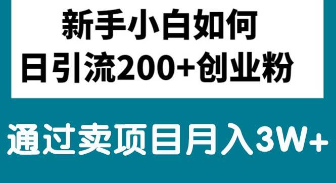 新手小白日引流200+创业粉,通过卖项目月入3W+|琦哥资源