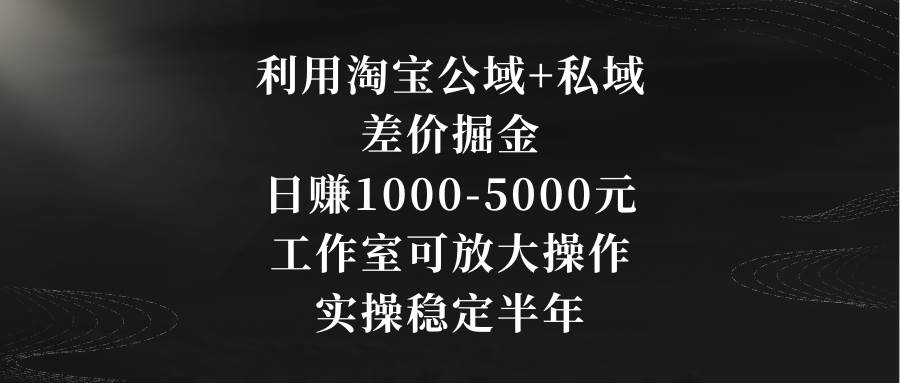 利用淘宝公域+私域差价掘金，日赚1000-5000元，工作室可放大操作，实操…|琦哥资源